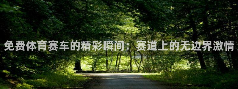 so米体育直播视频：免费体育赛车的精彩瞬间：赛道上的无边界激情