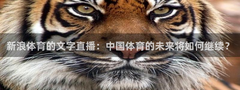 so米nba直播：新浪体育的文字直播：中国体育的未来将如何继续？